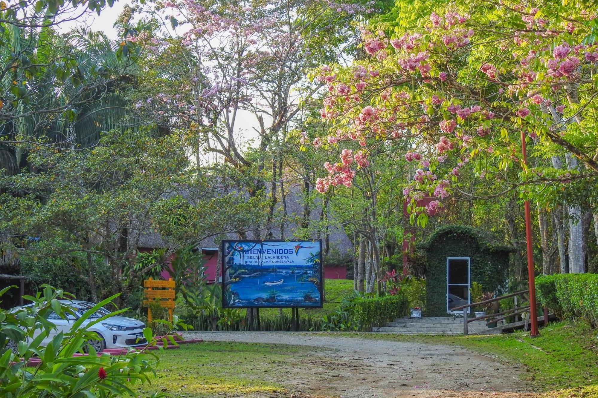 Las Guacamayas Lodge Resort, Selva Lacandona, Chiapas Mexico Tlatizapan Екстер'єр фото