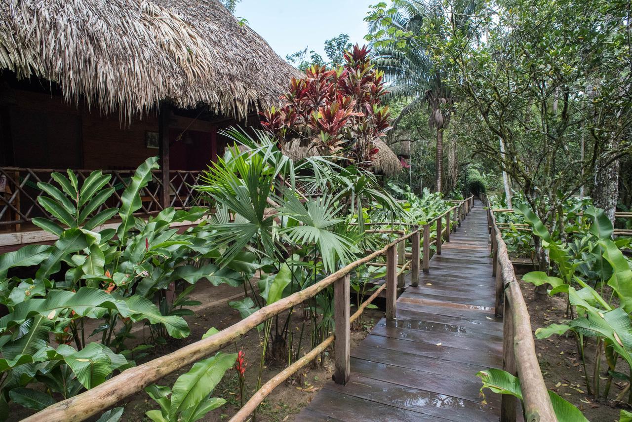 Las Guacamayas Lodge Resort, Selva Lacandona, Chiapas Mexico Tlatizapan Екстер'єр фото