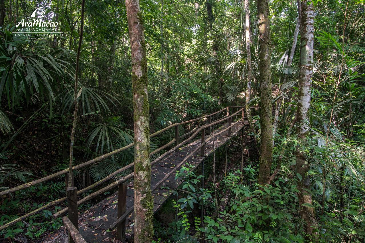 Las Guacamayas Lodge Resort, Selva Lacandona, Chiapas Mexico Tlatizapan Екстер'єр фото